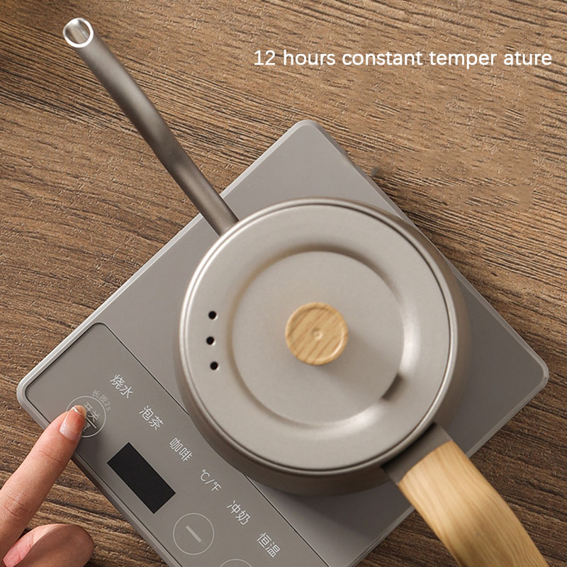 110V 220V Ketel Teko Leher Ang - Electric Kettle Gooseneck ulasan dan harga