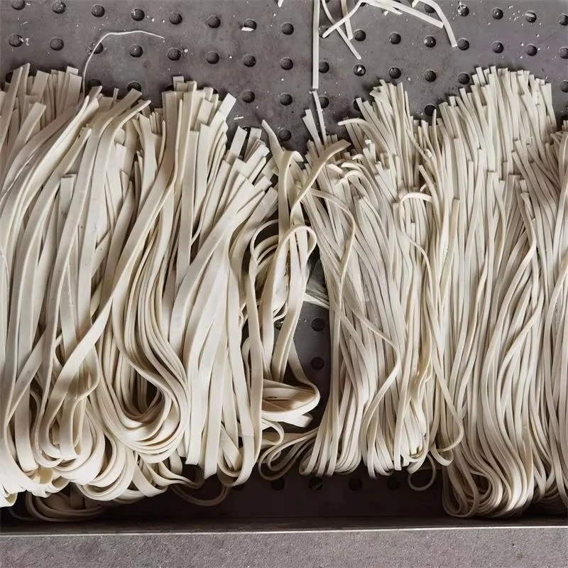 Mesin Pembuat Mie Cerdas Pembu - Pasta Machine Electric ulasan dan harga